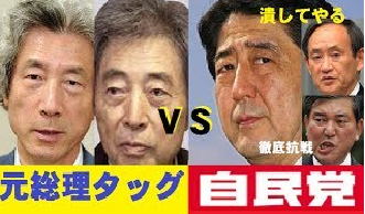 小泉・細川連合対自民党の決戦.png